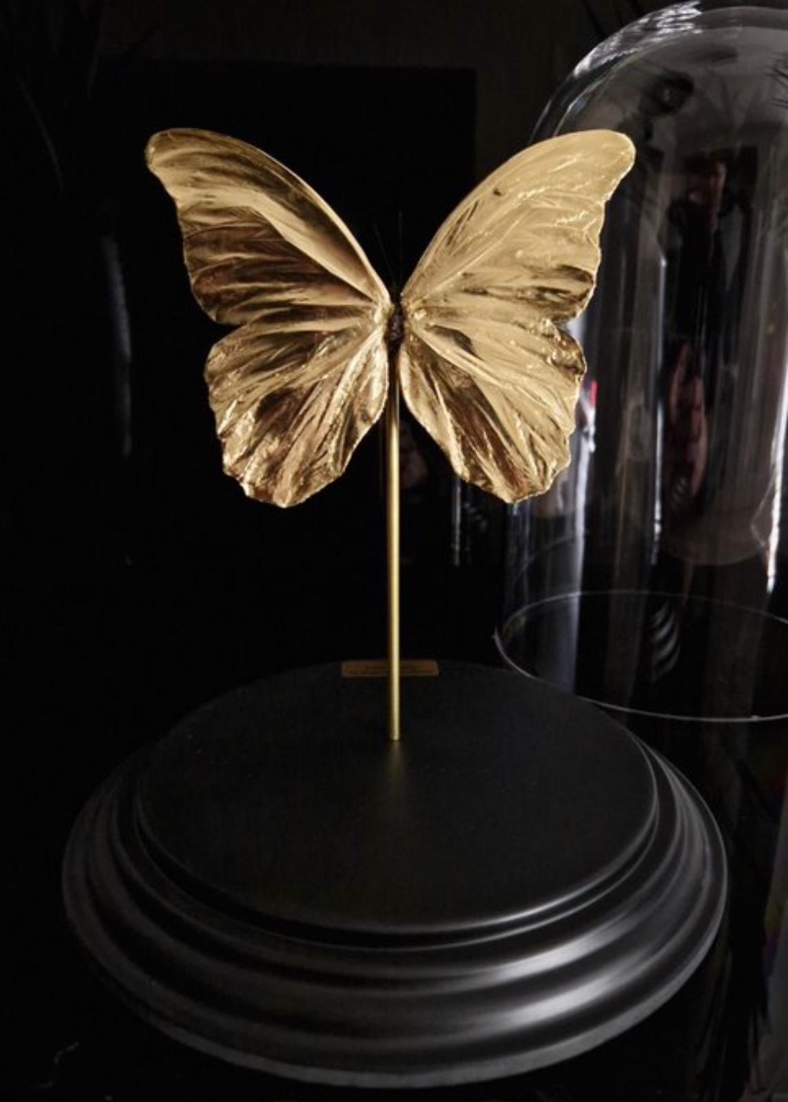 Artwork - Unieke 23kt bladgoud vergulde Morpho Didius vlinder - JungleHome